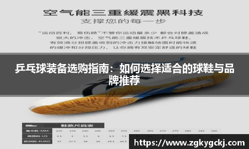 乒乓球装备选购指南：如何选择适合的球鞋与品牌推荐